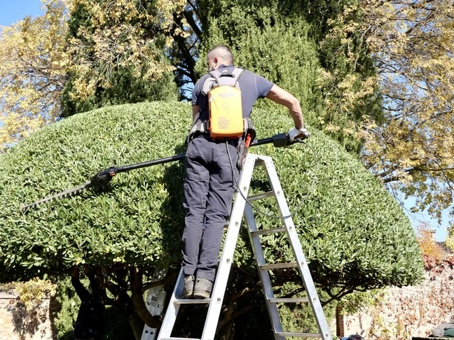 Professionelle pflege am Jungbaum Professionelle pflege am Jungbaum